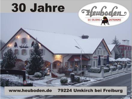 disco_auen_5