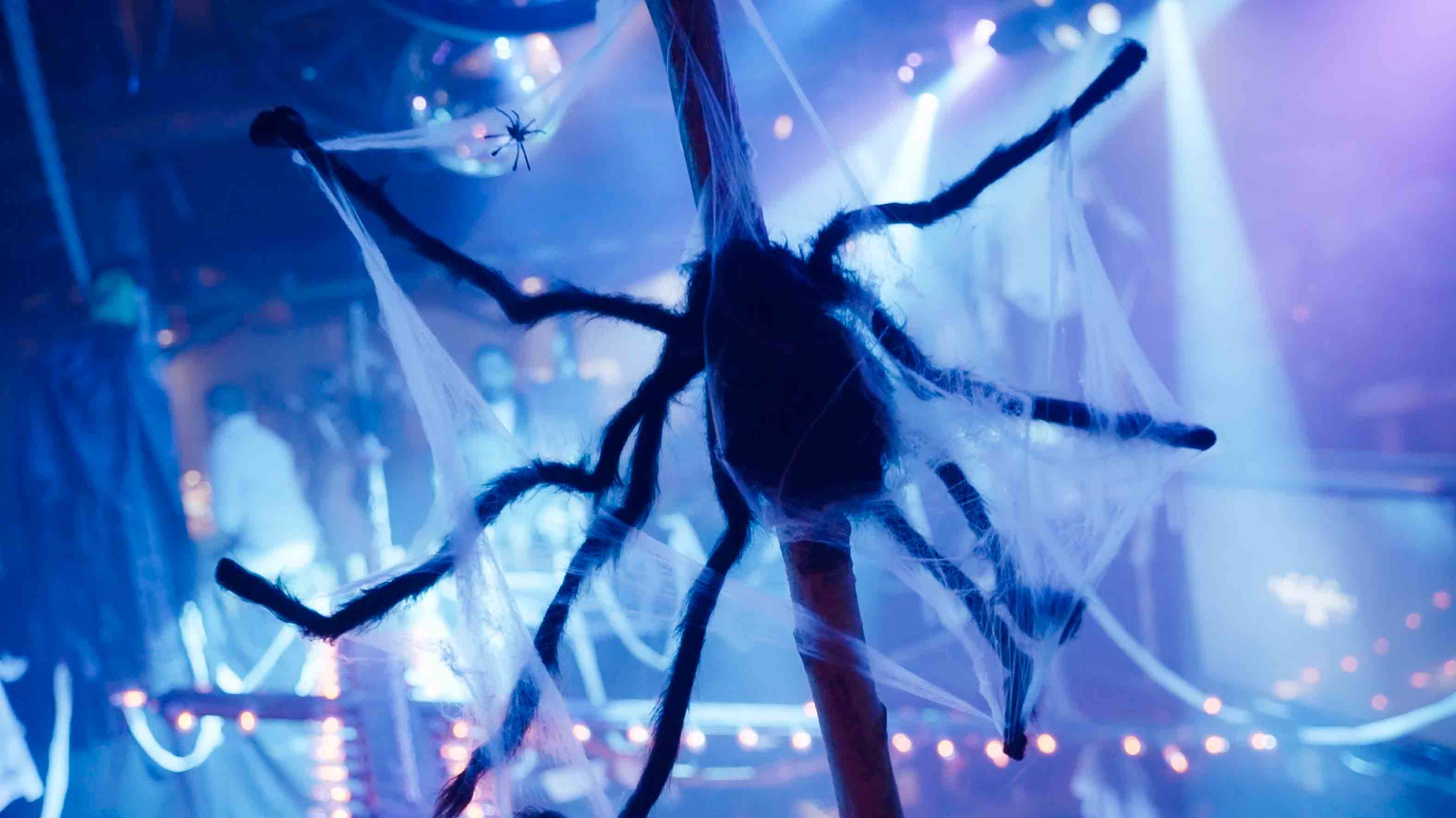 Halloween Madness 25 4