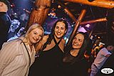Absolut Night 02.03.2024