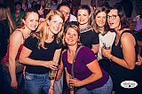 Hay Saturday 12082023