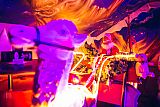 Party 01.12.2017