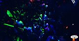 Party 02.07