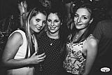 Party 04.03
