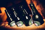 Party 09.01