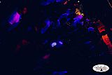 Party 10.09
