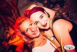 Party 11.06