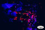 Party 11.06