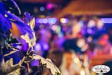 T.M. Exclusiv Art - Party 12.01.2018