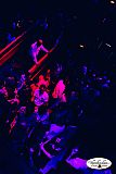 Party 12.11