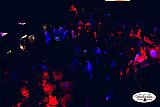 Party 12.11