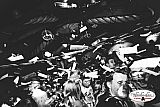 Party 13.02