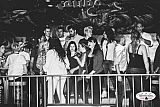 Party 16.04