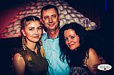 Party 16.04