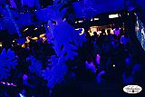 Party 17.12
