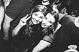 Party 19.03