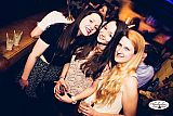 Party 19.03