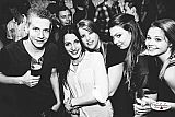 Party 19.03