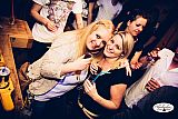 Party 19.03