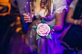 Party 19.10.2019