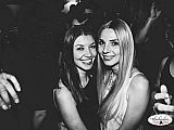 Party 23.04