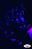 Party 26.11