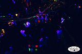 Party 29.10