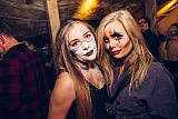 Party 31.10.2017