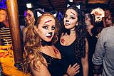 Party 31.10.2017