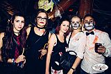 Party 31.10