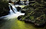 Schwarzwald Wasserfall