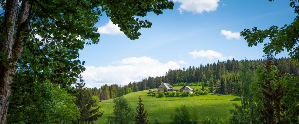 Sommer Urlaub in Deutschland 