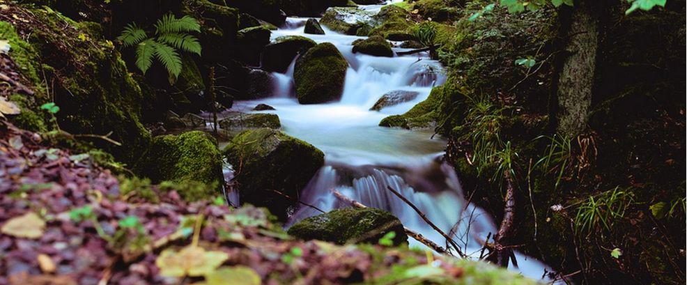 Natur Hotel Freiburg