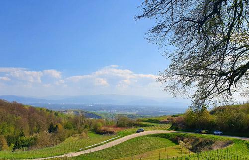 kaiserstuhl aussicht