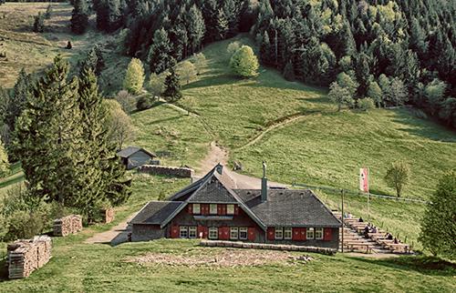 Schwarzwald Ausflug