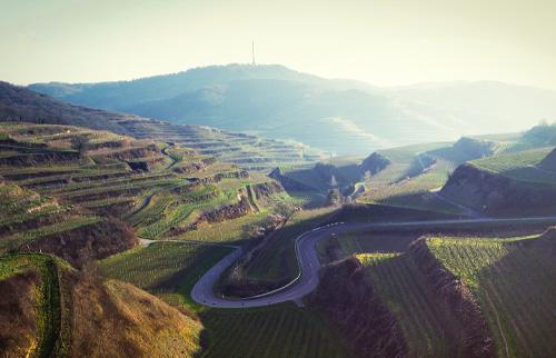 Schwarzwald Ausflug